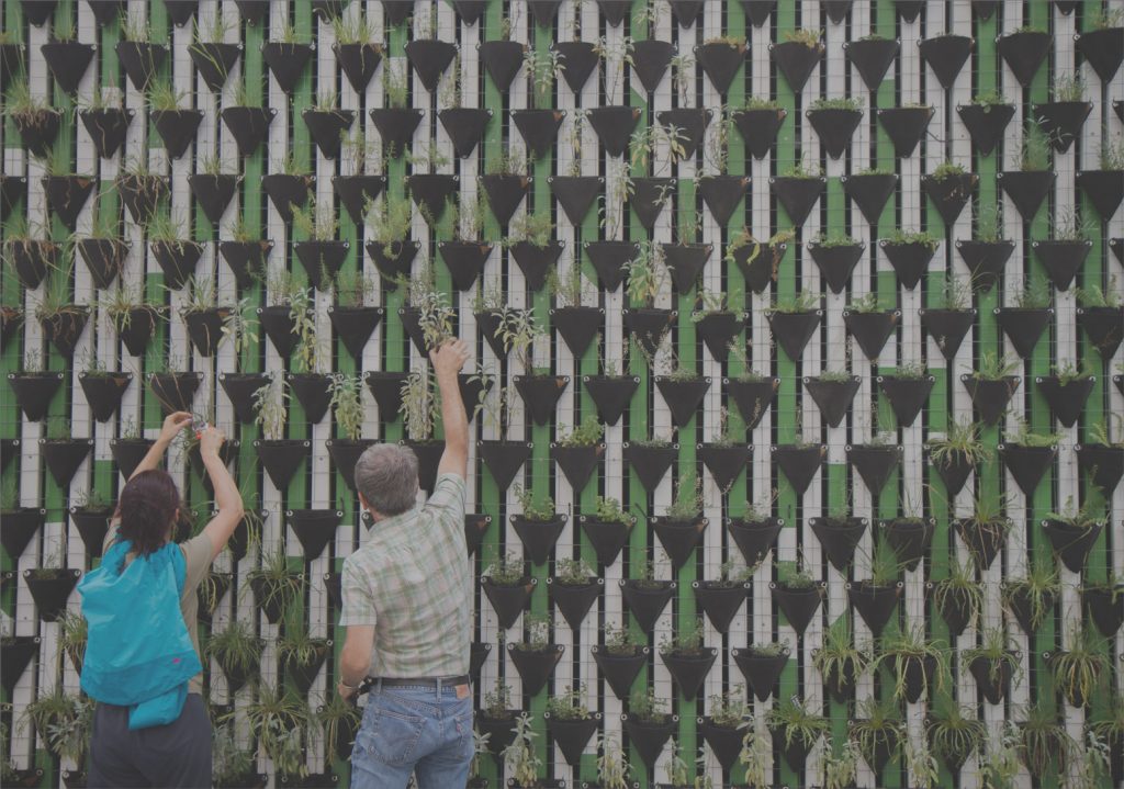 Man and woman planting a living wall